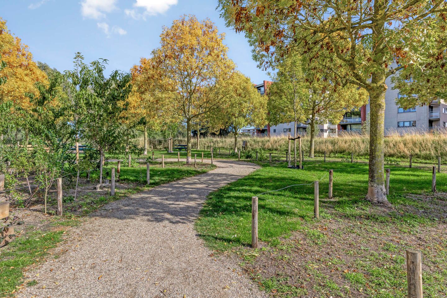 Foto 20 van Lobeliuslaan 100