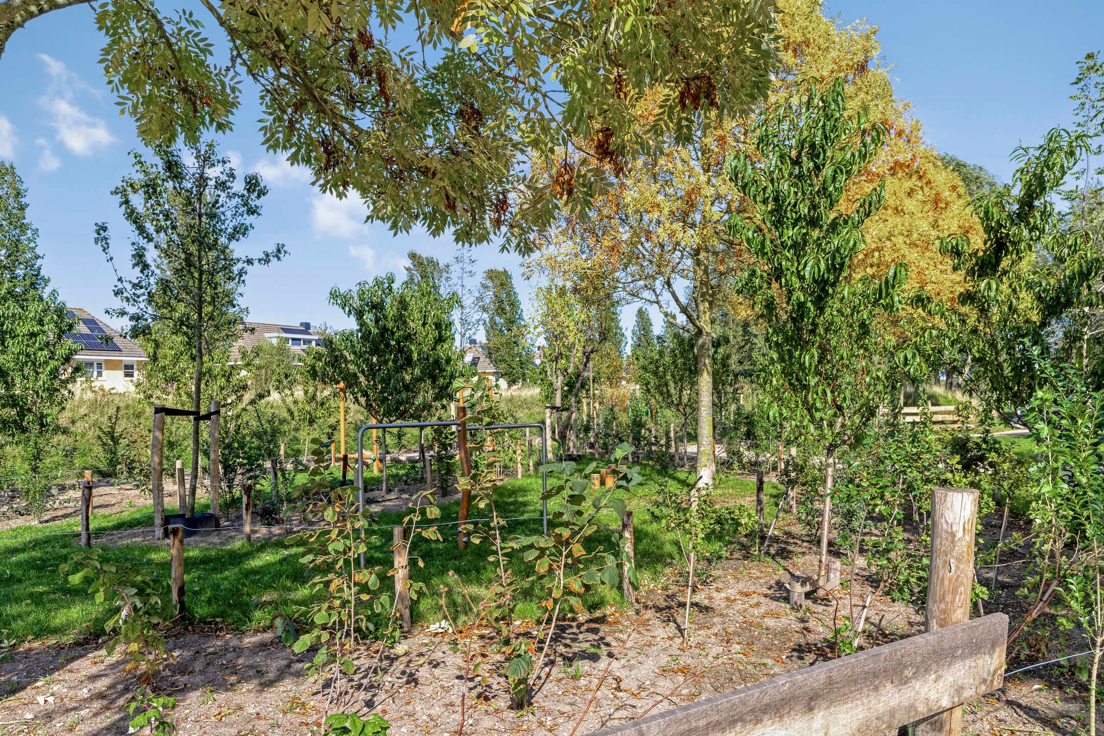 Foto 21 van Lobeliuslaan 100