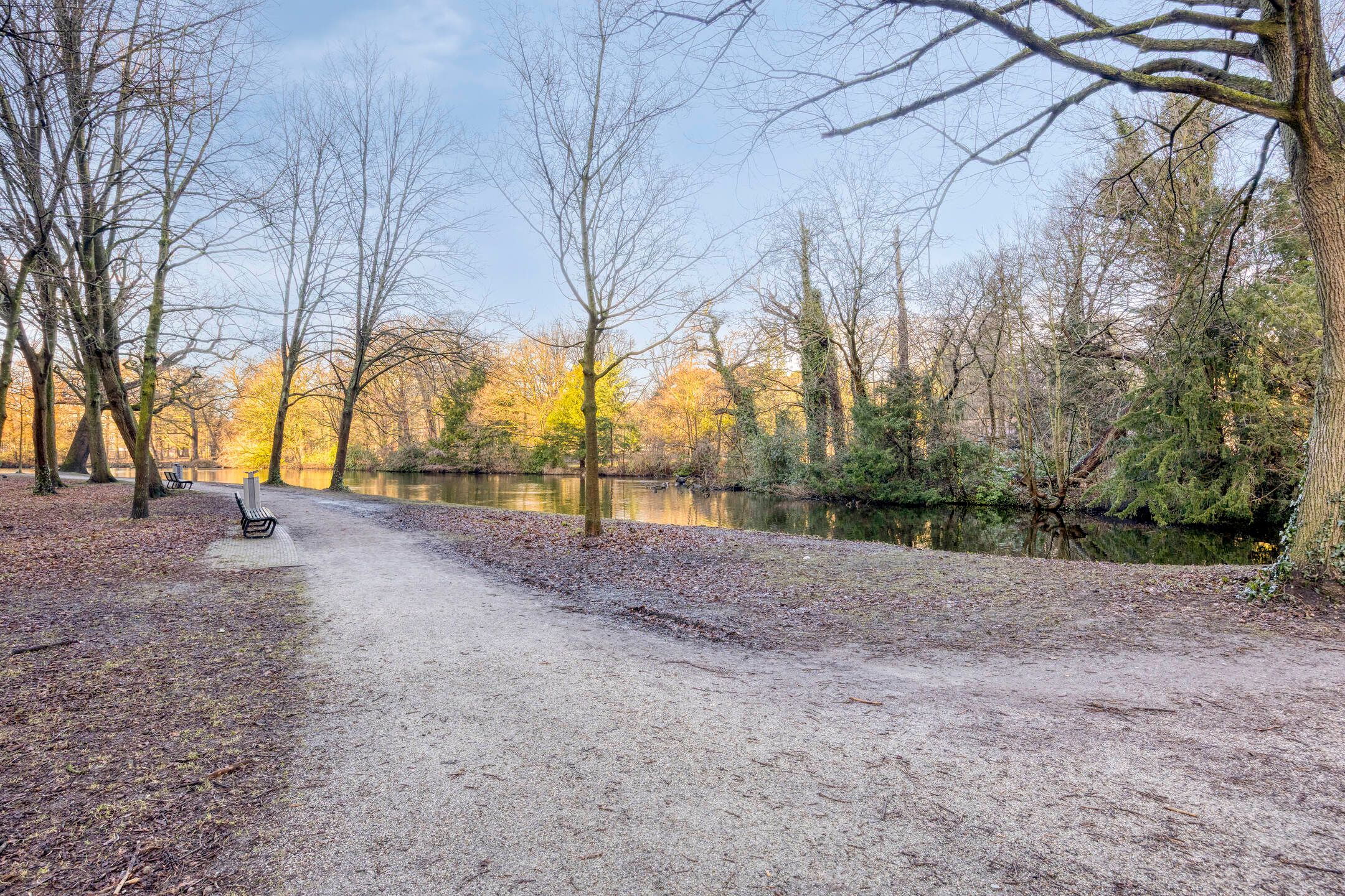 Photo 48 of Anna van Buerenplein 170