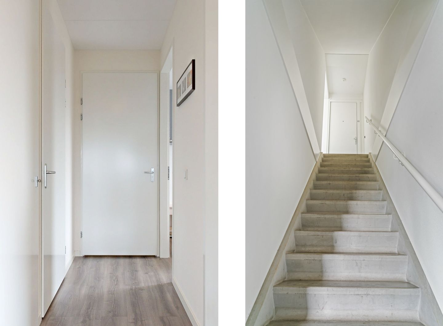 Photo 25 of Ladogameer 87