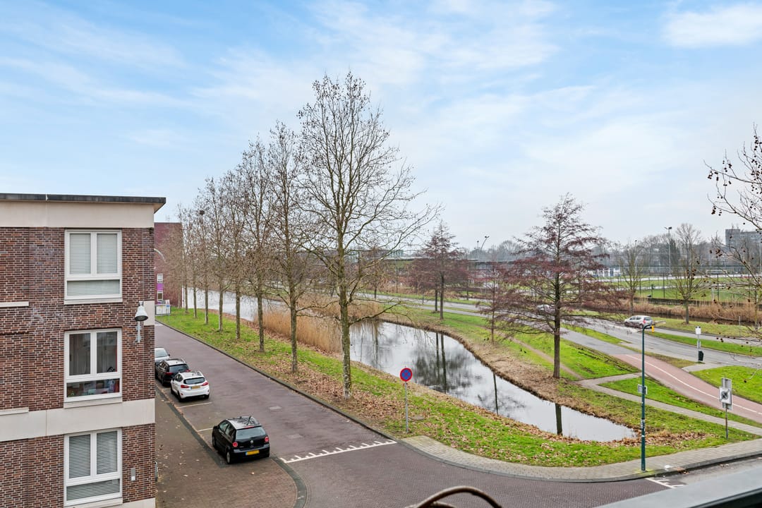 Photo 31 of Ladogameer 87