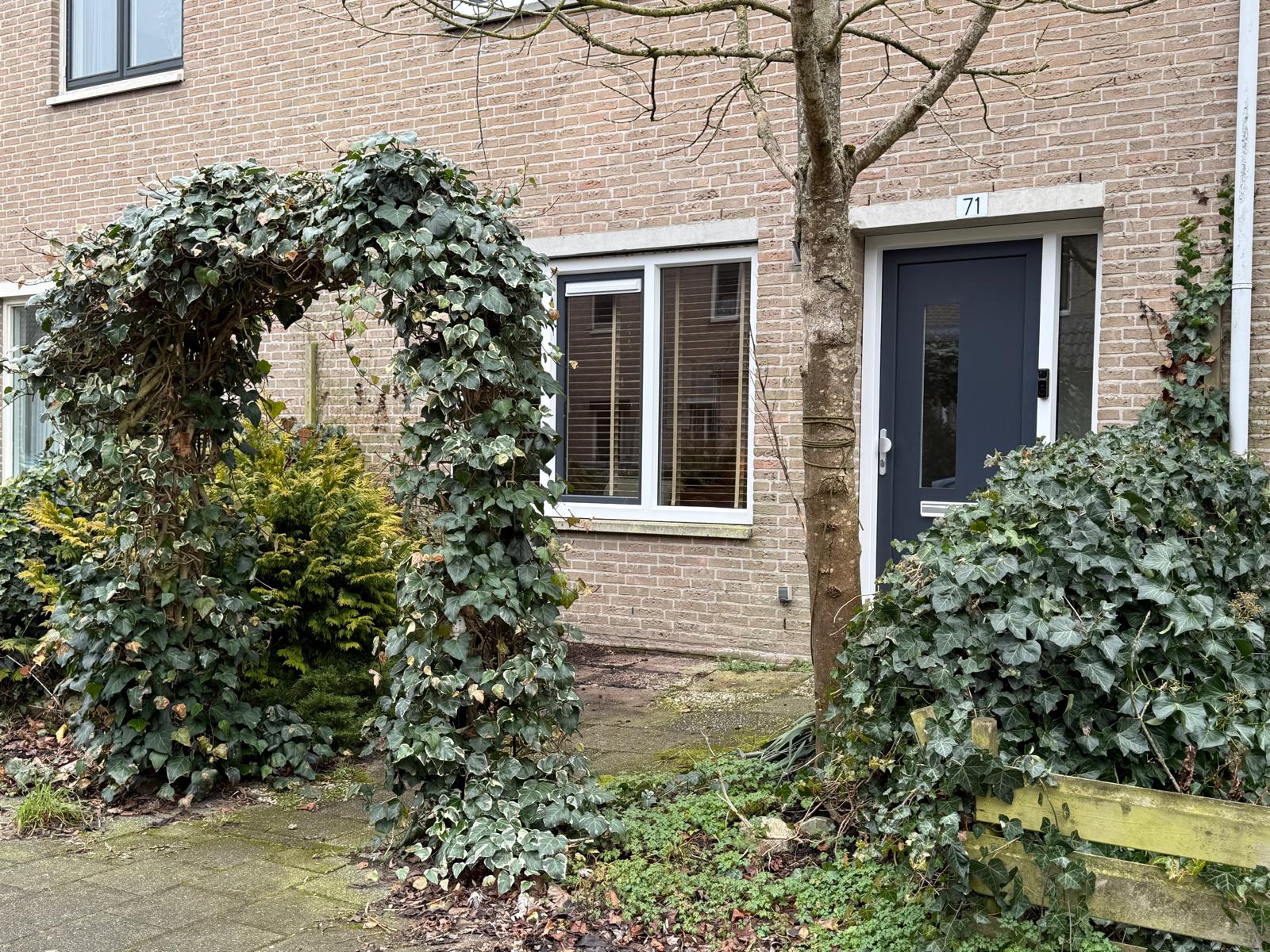 Photo 18 of Eierlanden 71