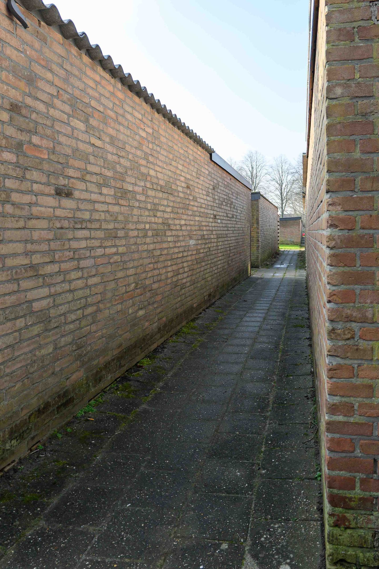 Foto 19 van de Sont 36