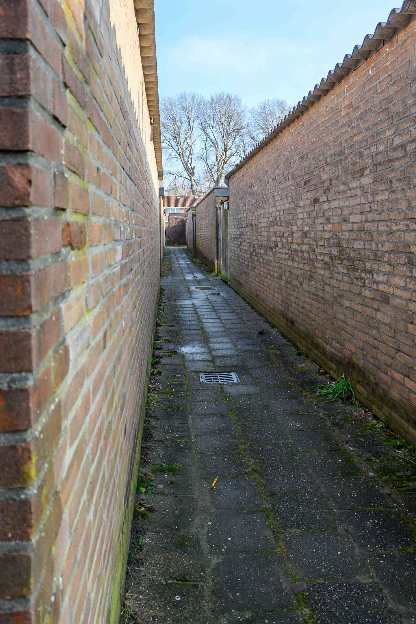 Foto 20 van de Sont 36