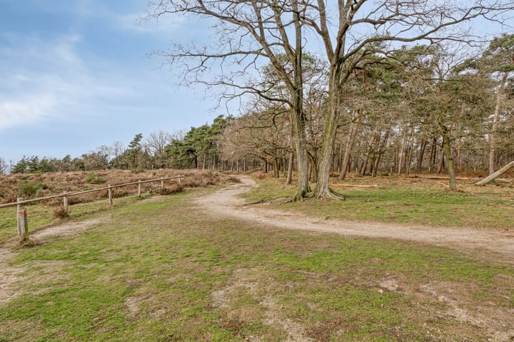 Foto 4 van Papenbergseweg 14