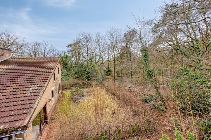 Foto 62 van Papenbergseweg 14