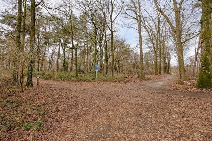 Foto 68 van Papenbergseweg 14