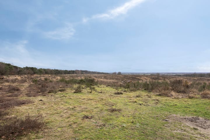 Foto 69 van Papenbergseweg 14