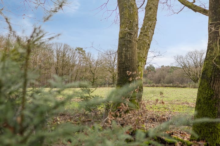 Foto 72 van Papenbergseweg 14