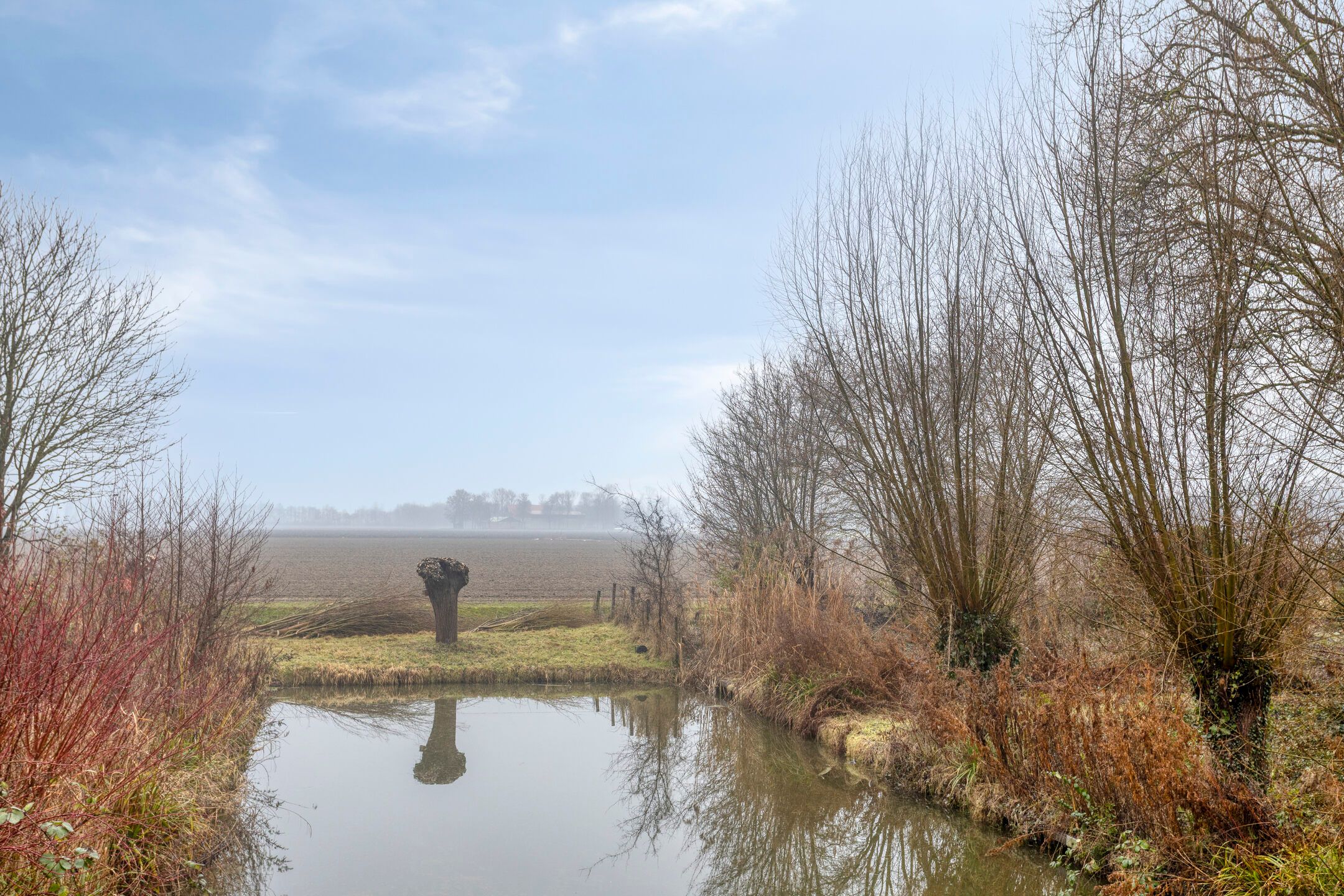 Photo 12 of Diemenlaan 90