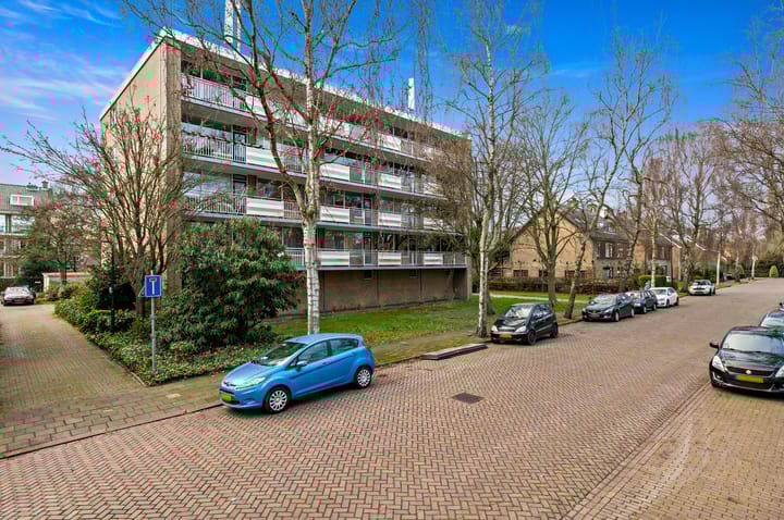 Foto 3 van Willem de Bijelaan 117