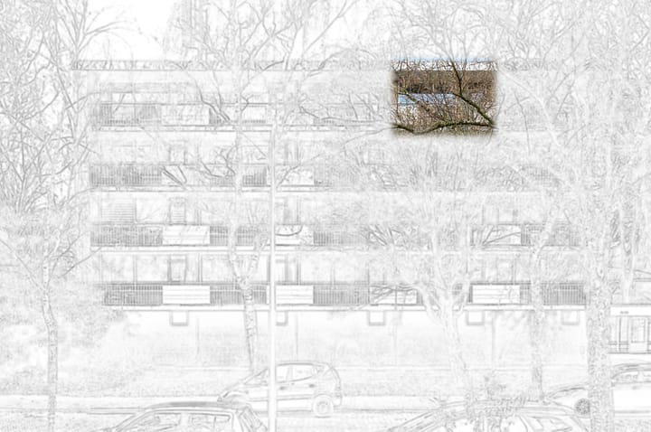 Foto 5 van Willem de Bijelaan 117