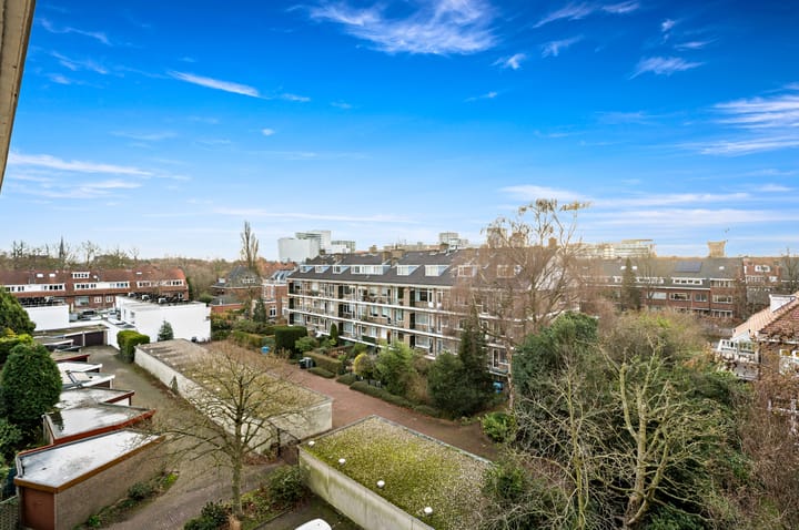 Foto 7 van Willem de Bijelaan 117