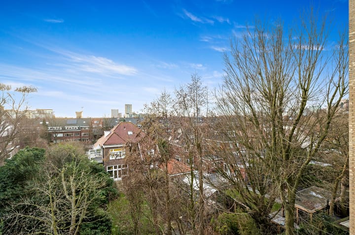 Foto 8 van Willem de Bijelaan 117