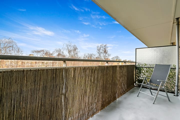 Foto 24 van Willem de Bijelaan 117