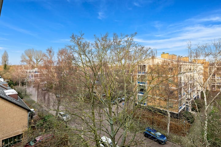 Foto 25 van Willem de Bijelaan 117