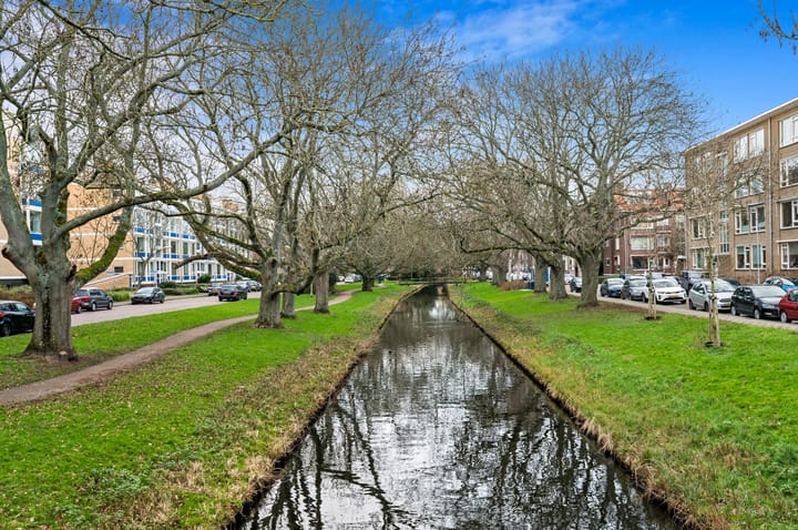 Foto 31 van Willem de Bijelaan 117