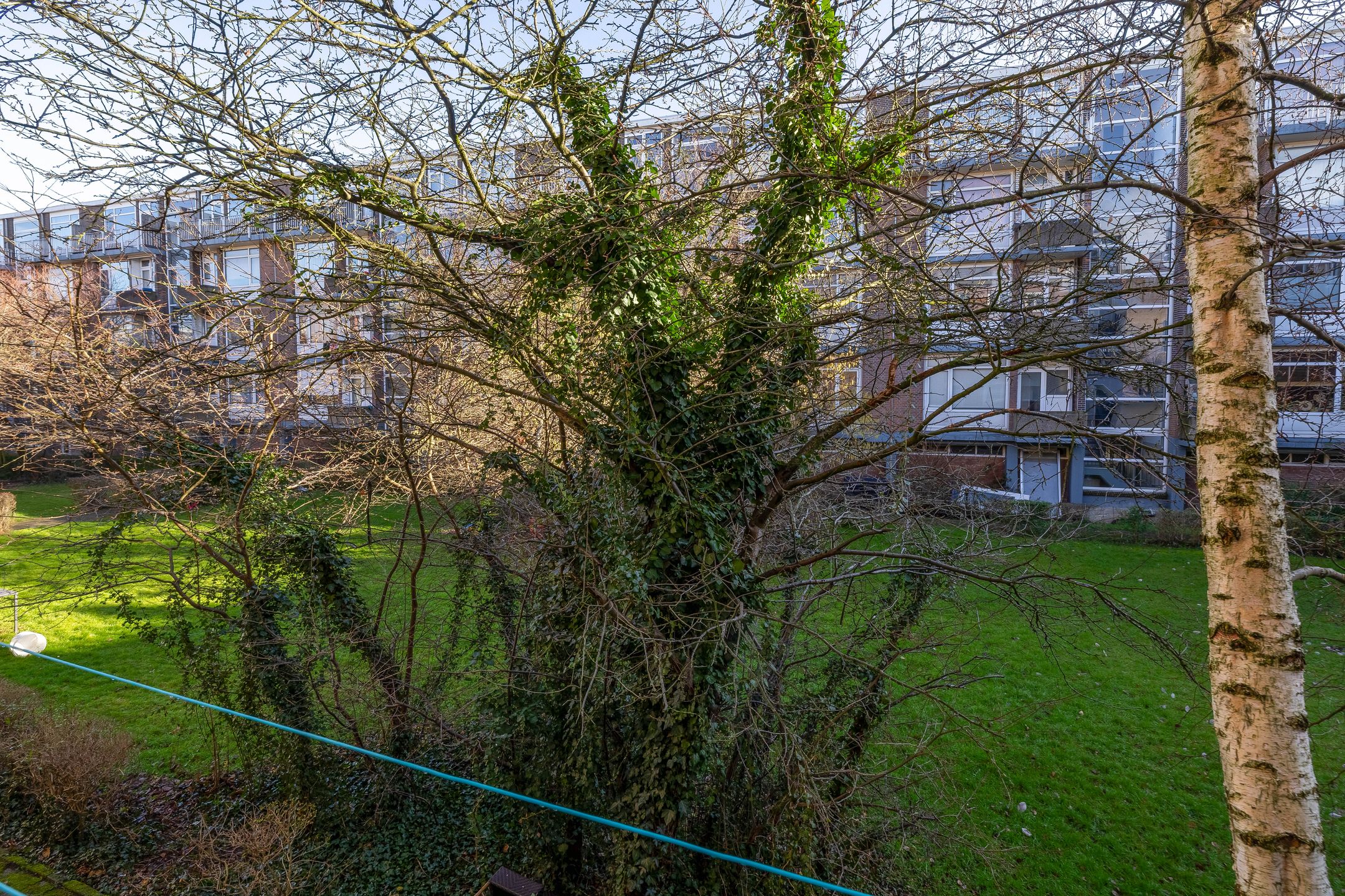 Foto 15 van Kraaierstraat 20-A