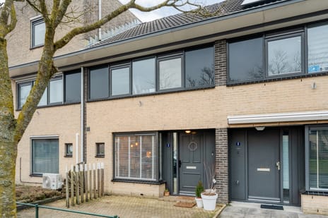 Van Damstraat thumbnail