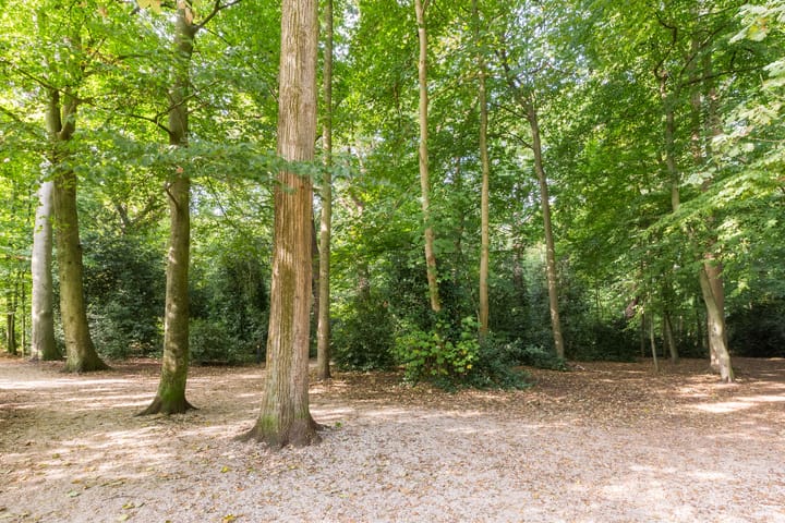 Photo 56 of Hofdijck 48