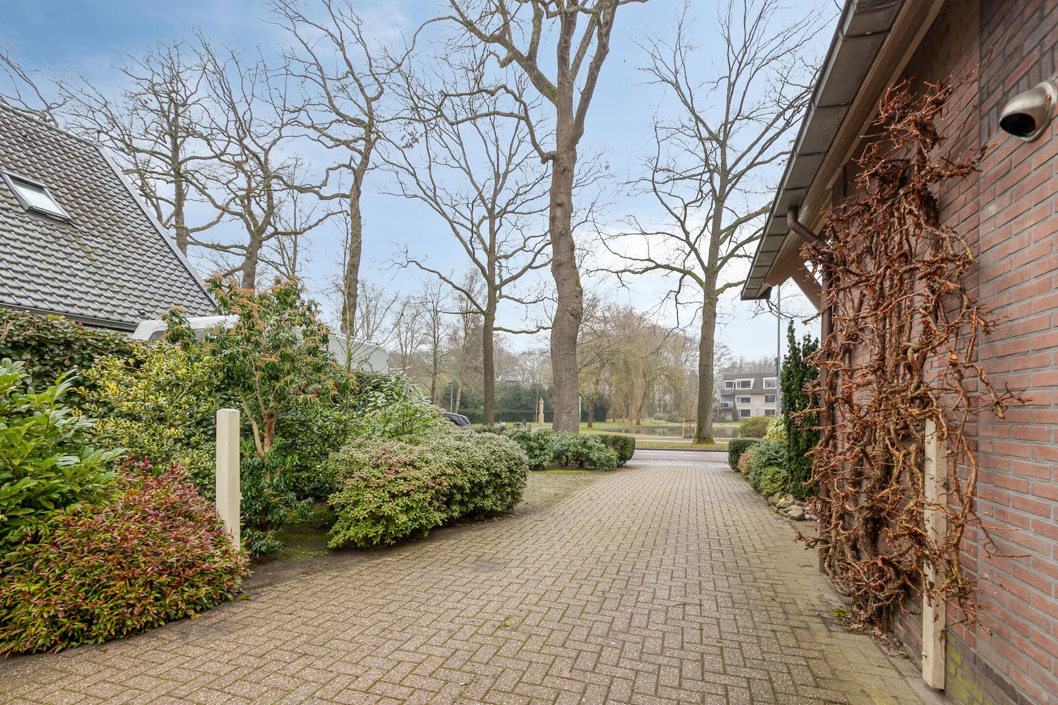 Photo 57 of Lohuizerweg 3