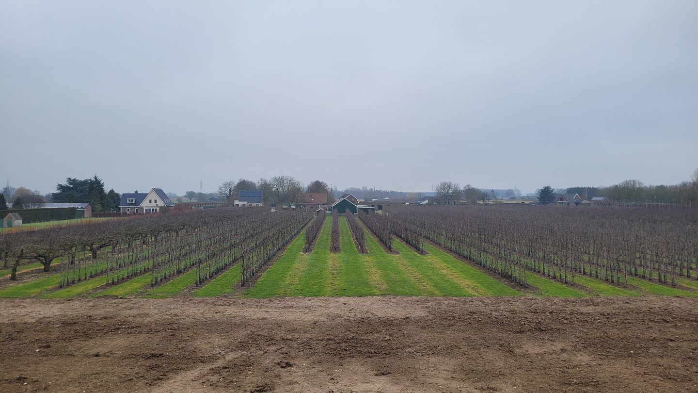 Bekijk foto 2 van Donkerstraat