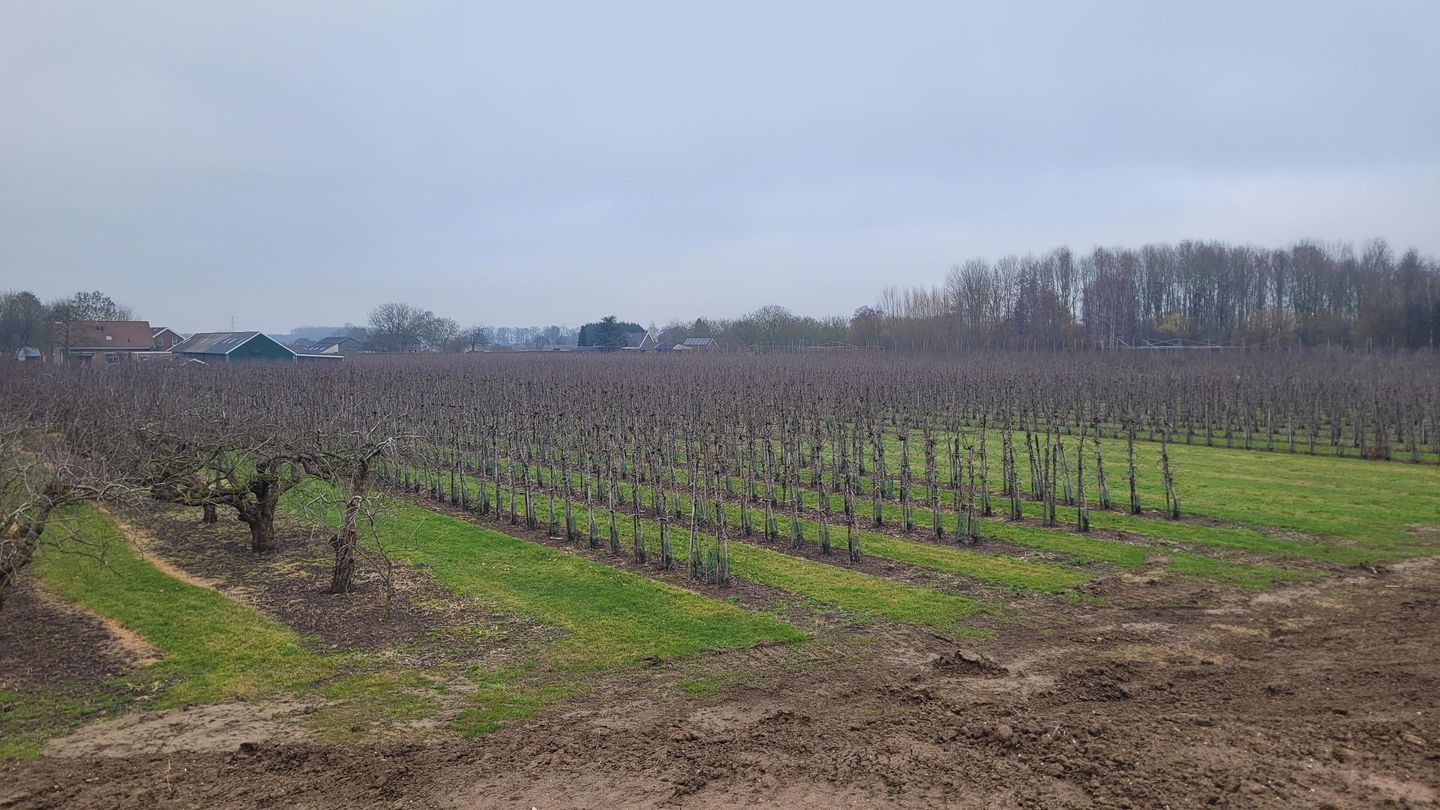 Bekijk foto 4 van Donkerstraat