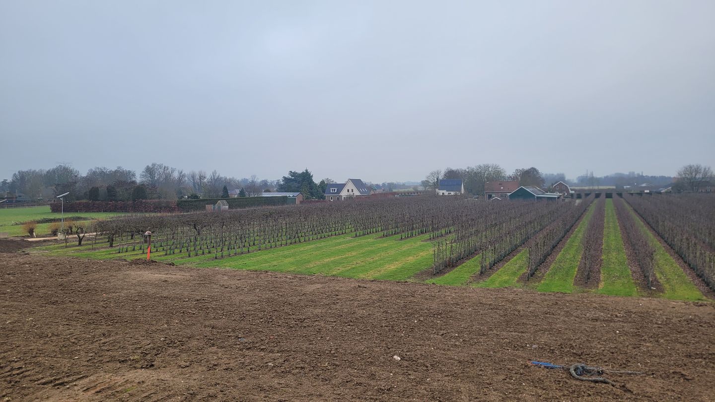 Bekijk foto 3 van Donkerstraat