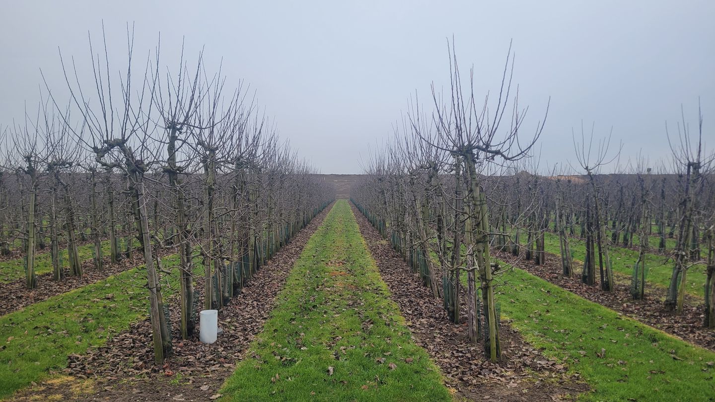 Bekijk foto 5 van Donkerstraat