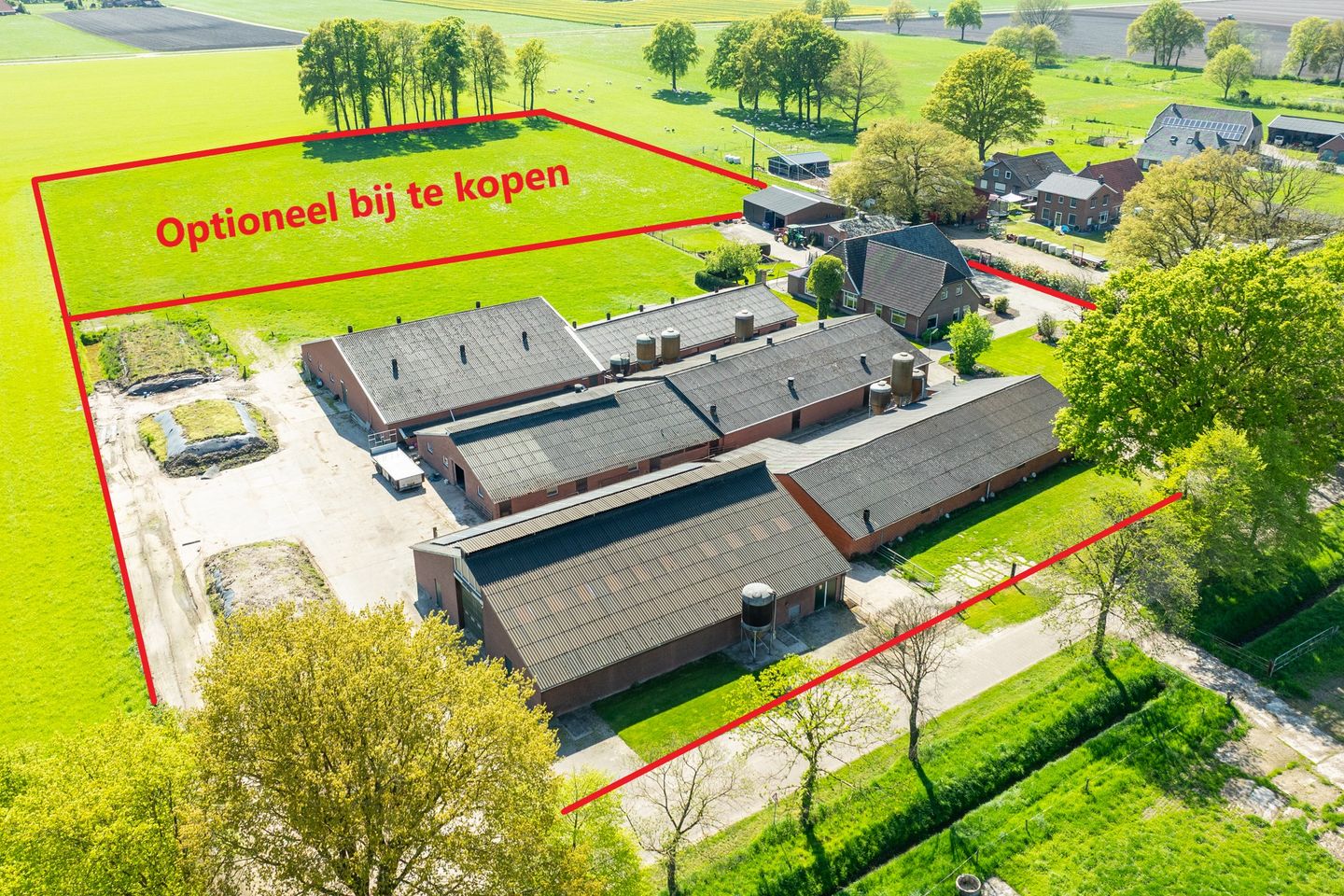 Bekijk foto 2 van Aaltenseweg 31-+ 31a