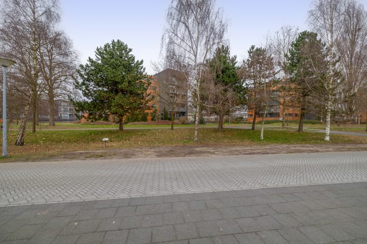 Photo 34 of Annie Salomonslaan 3