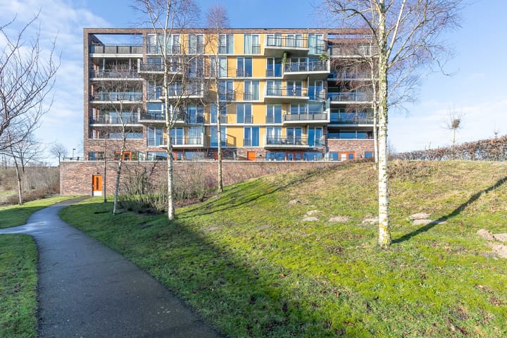 Foto 2 van Forel 104