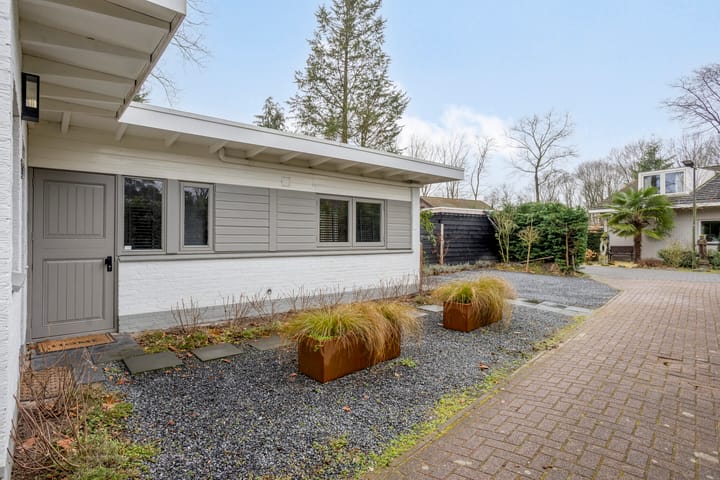 Photo 3 of Schaluinen 11-B309