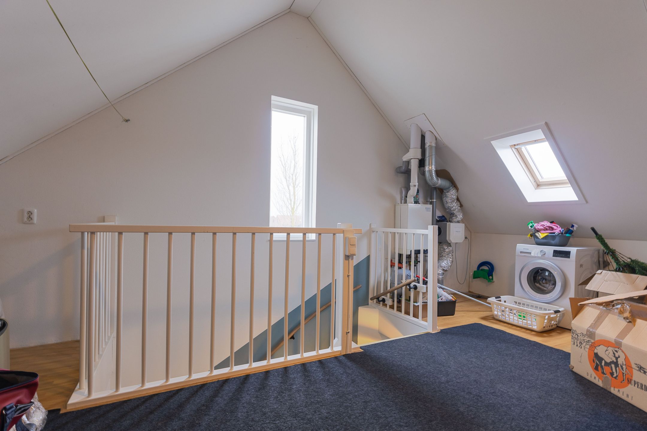 Photo 24 of Scholekster 30