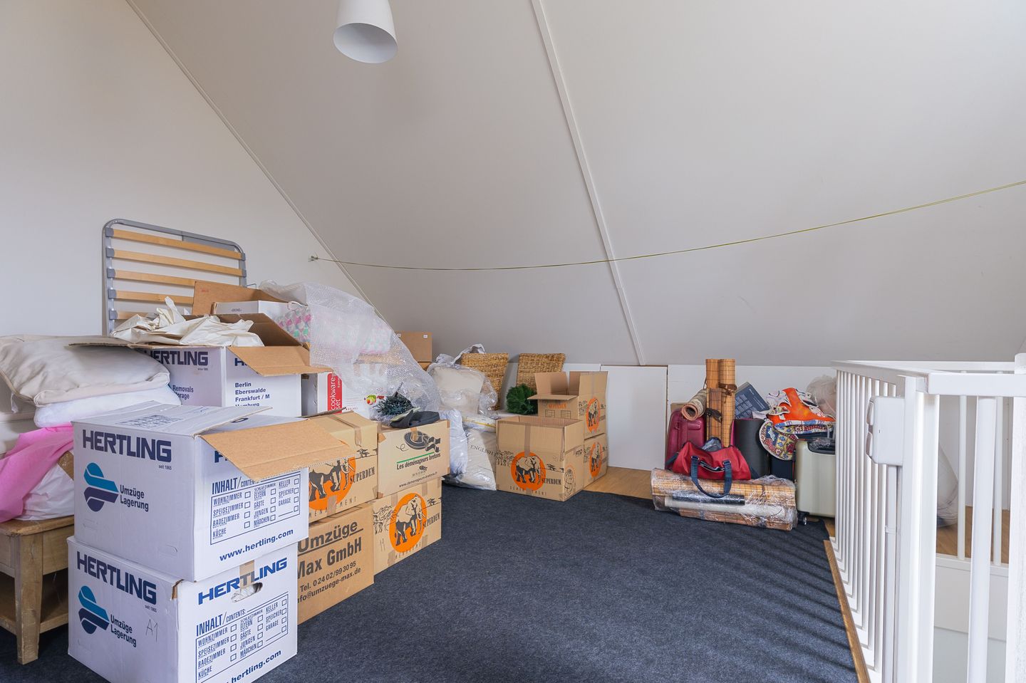 Photo 25 of Scholekster 30