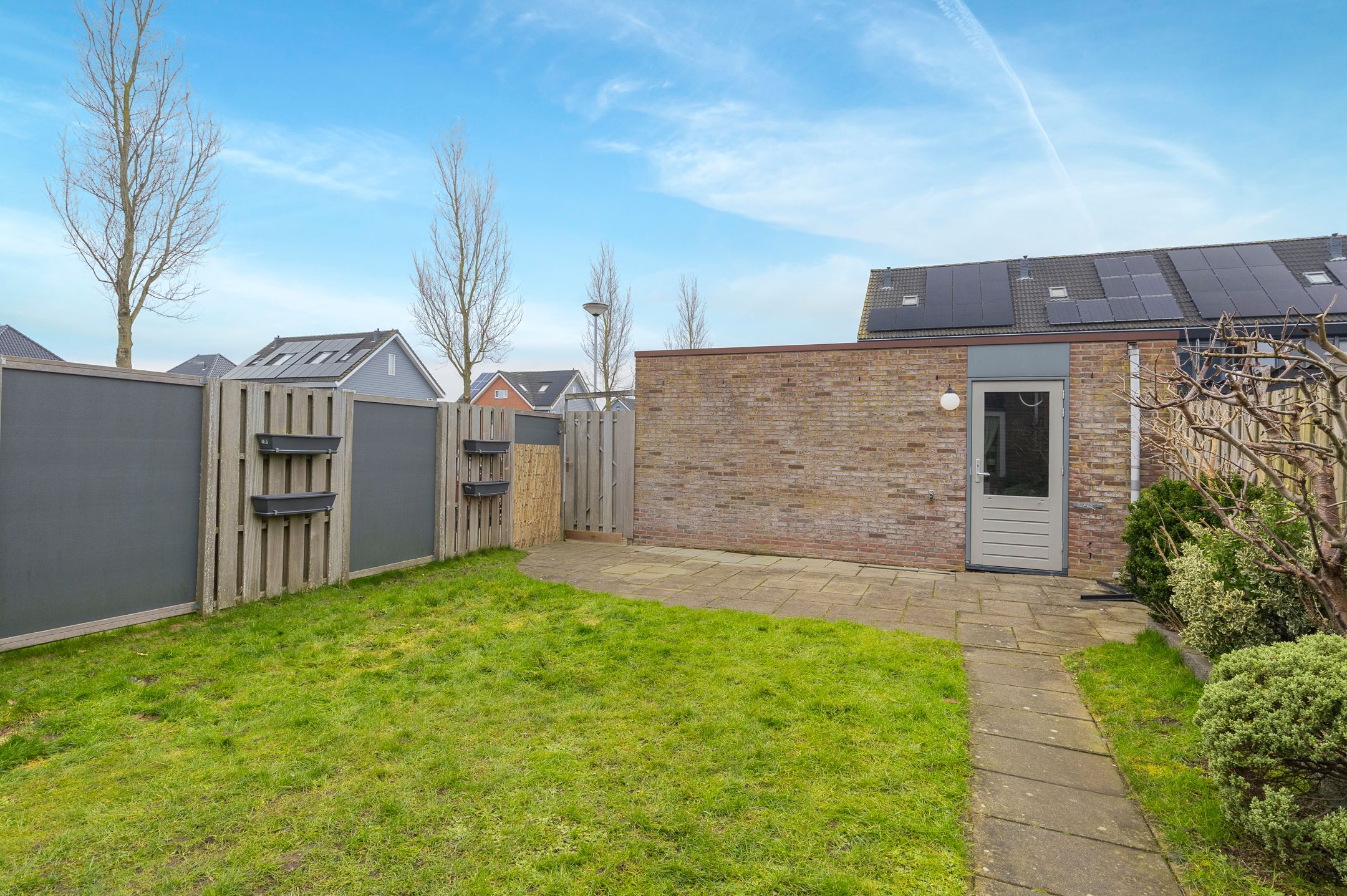 Photo 27 of Scholekster 30