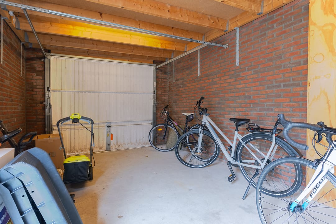 Photo 28 of Scholekster 30