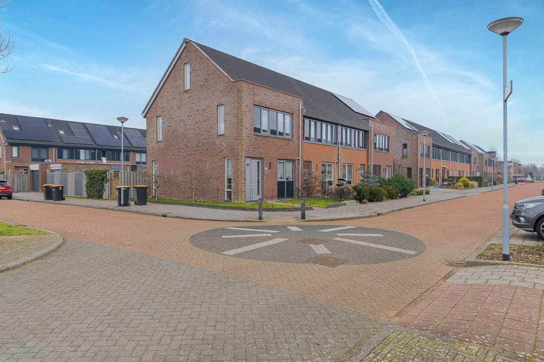 Photo 31 of Scholekster 30