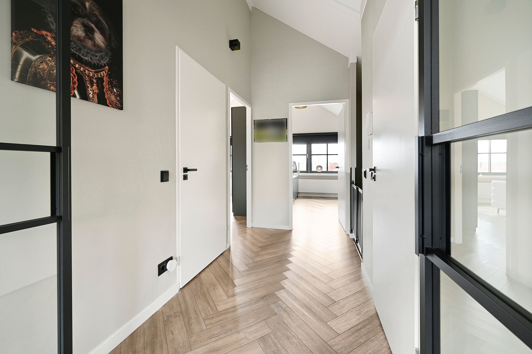 Photo 15 of Galop 13