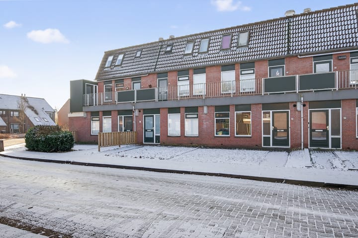 Photo 2 of Trekker 29