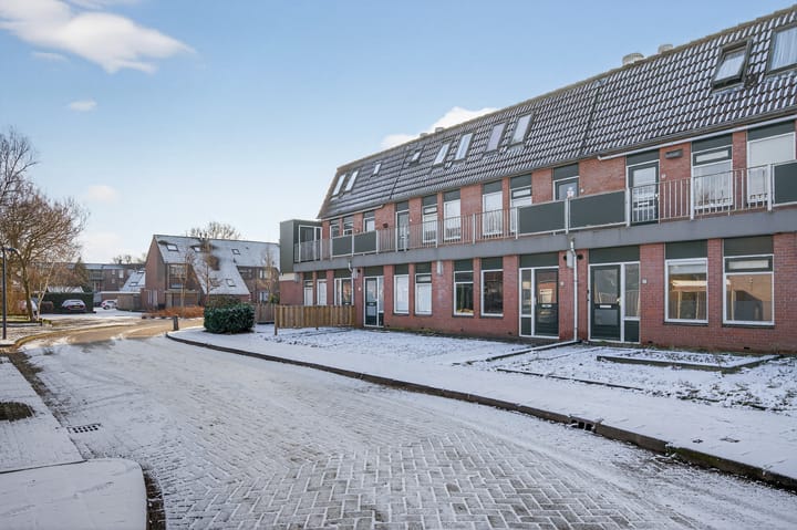 Photo 3 of Trekker 29