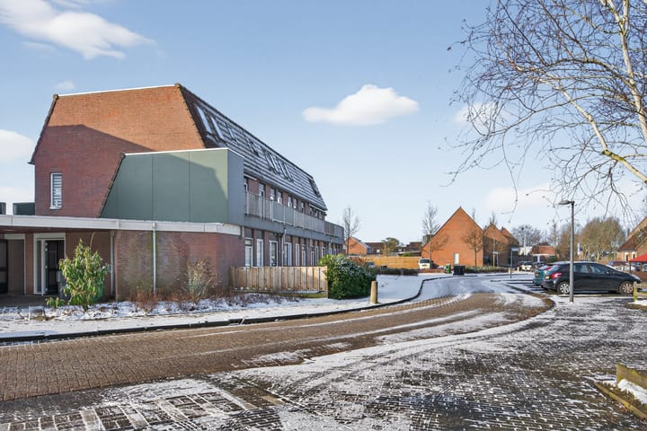 Photo 4 of Trekker 29