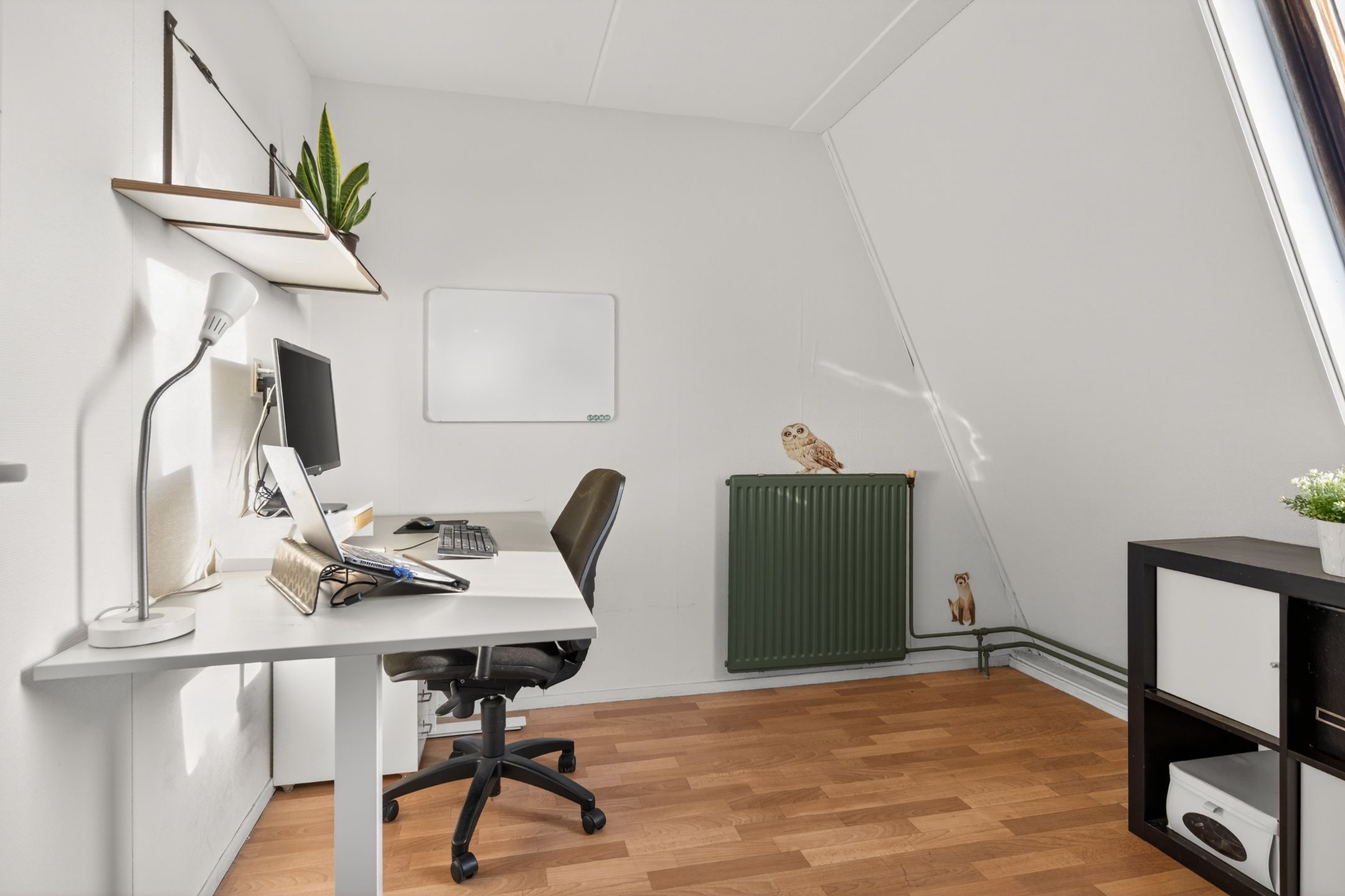 Photo 21 of Trekker 29