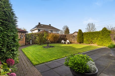 Het Zool 32 tertiary image