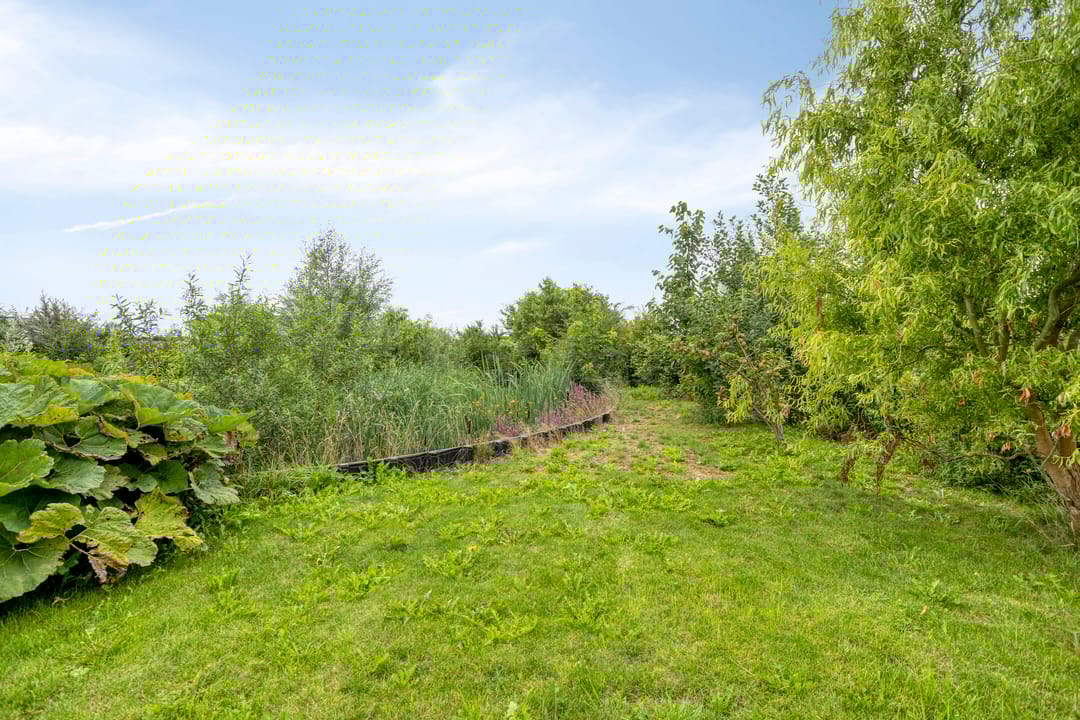 Foto 46 van Charles Darwinstraat 9