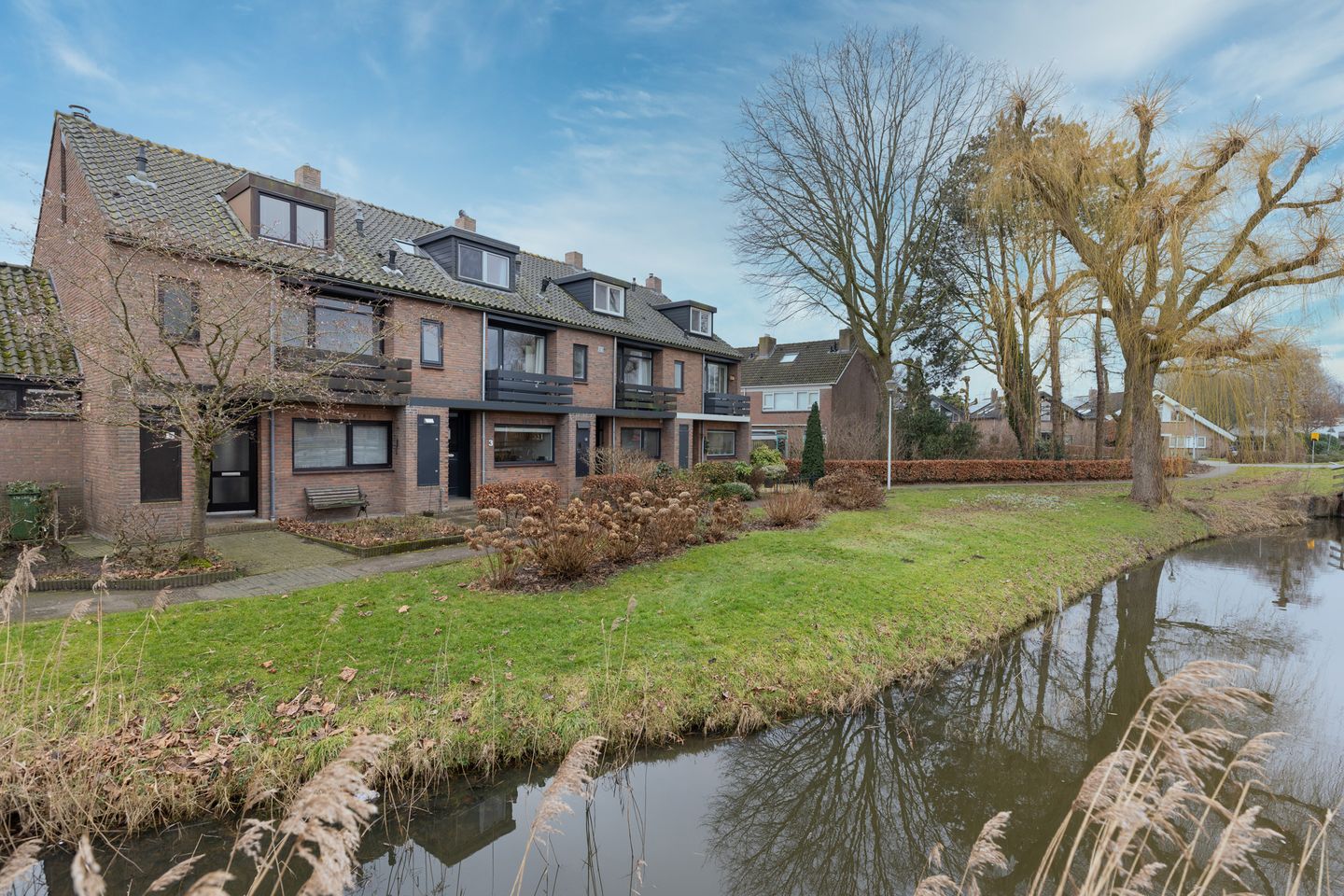 Foto 5 van de Lelie 3