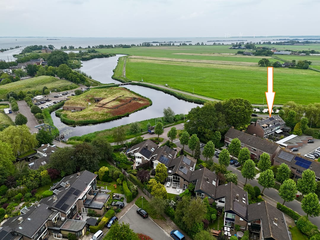 Foto 7 van de Lelie 3