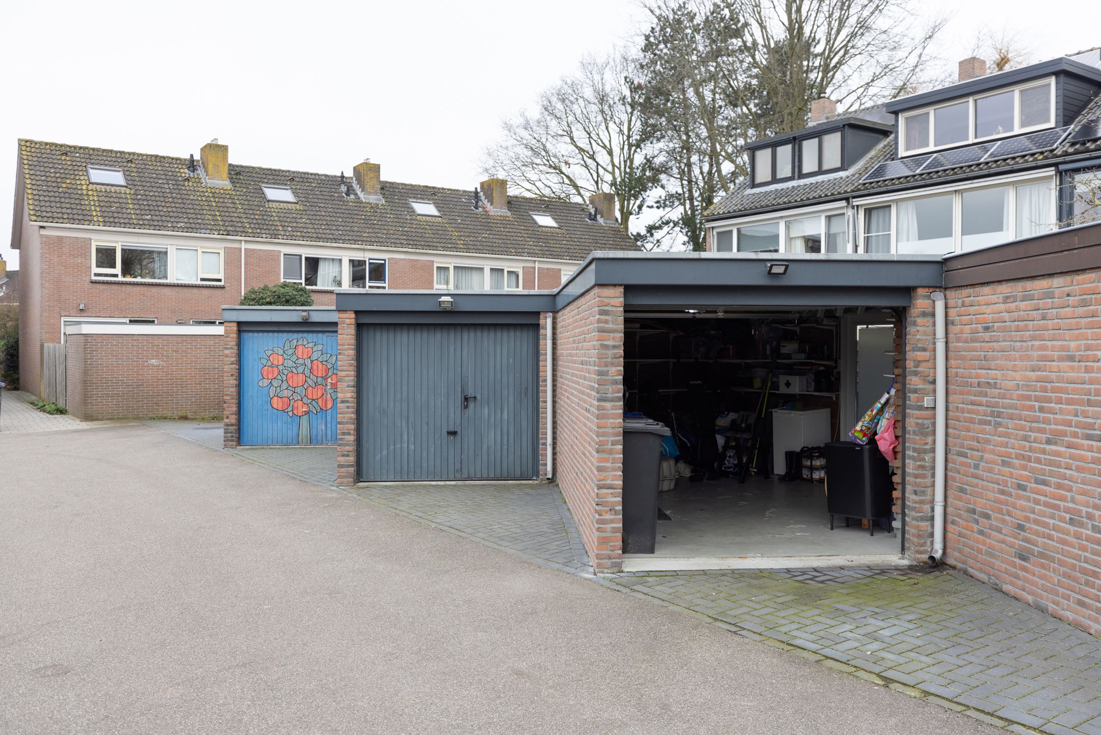 Foto 36 van de Lelie 3