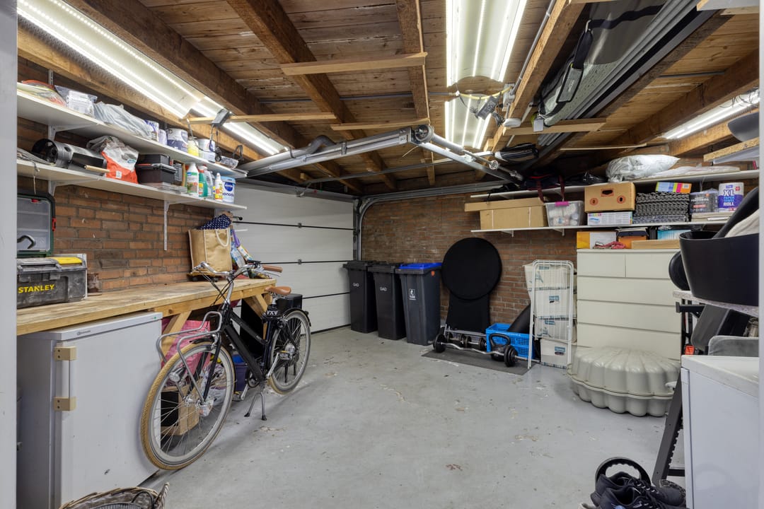 Foto 37 van de Lelie 3