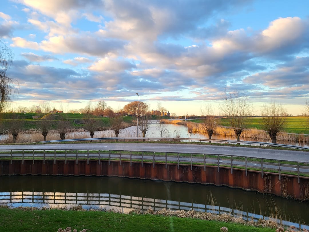 Foto 41 van de Lelie 3